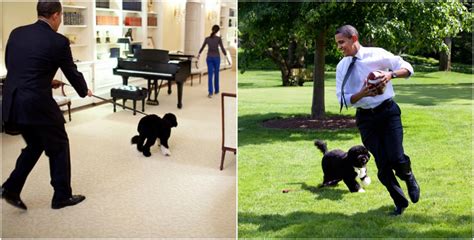 Barack Obama and all his family is a real dog lover