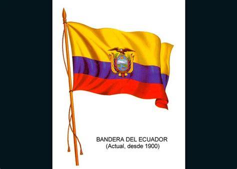 Bandera-del-Ecuador Eu Flag, Wind Sock, Crop Tops, Instagram, Karina, Costa Rica, Women, Fashion ...