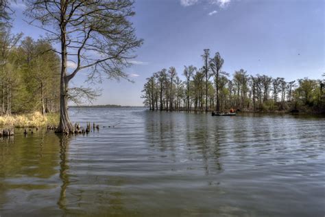 Reelfoot Lake, Reelfoot Lake State Park, Lake County, Tenn… | Flickr