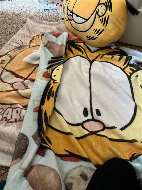 All my Garfield merch :) : r/garfield