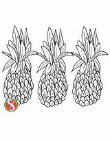 Free Pineapple Coloring Pages — Stevie Doodles sketch template