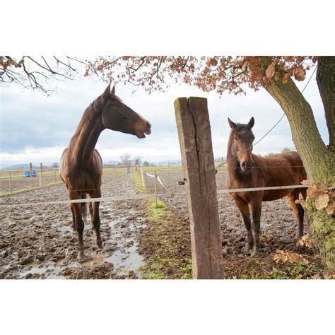 Un après-midi comme un autre, plein de gadoue, à la ferme avec les ...