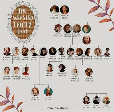 The Weasley family tree | Harry potter family tree, Harry potter ...