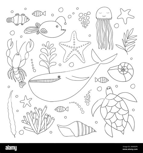 Big sea animals set Stock Vector Image & Art - Alamy