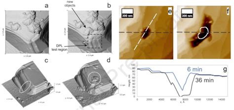 Nanoscale mechanical stimulation of the picric acid crystals. (a) AFM... | Download Scientific ...