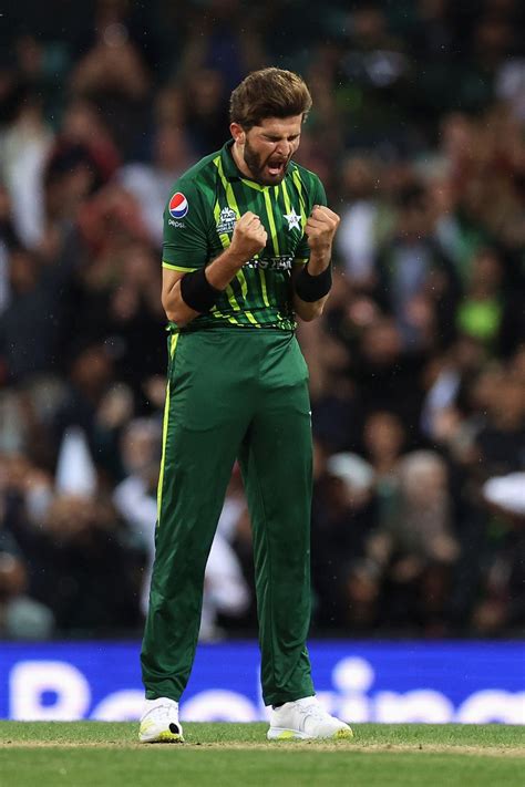 Shaheen Afridi celebrates the wicket of Rilee Rossouw | ESPNcricinfo.com