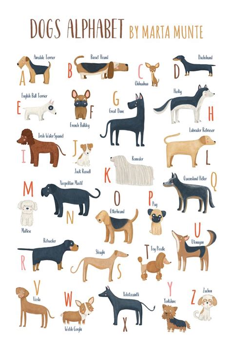 Printable ABC Dogs Breeds, Dachshund, Basset Hound, Dog Alphabet for ...