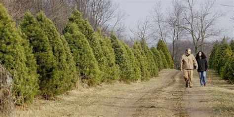 El Nino dominates December weather pattern | Fox Weather