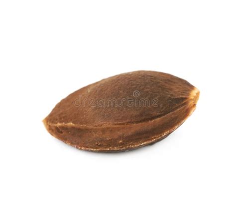 Plum pit isolated stock image. Image of leaf, macro - 108220909