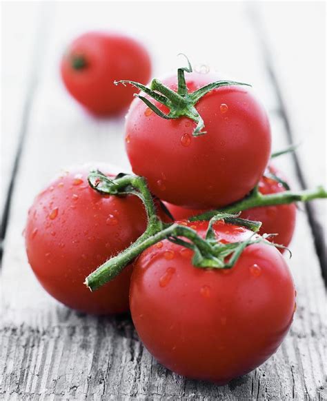 Tomatoes On The Vine Photograph by Mikkel Adsbøl - Fine Art America