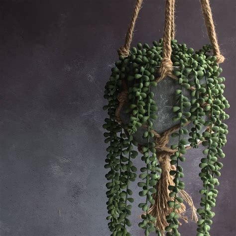 artificial hanging plant by the contemporary home | notonthehighstreet.com