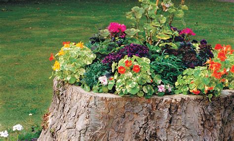 How To Create a Tree-Stump Planter - This Old House