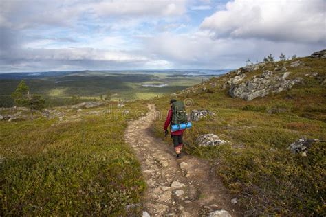 Woman Hiking in Lapland Finland Stock Image - Image of color, hill: 255598097