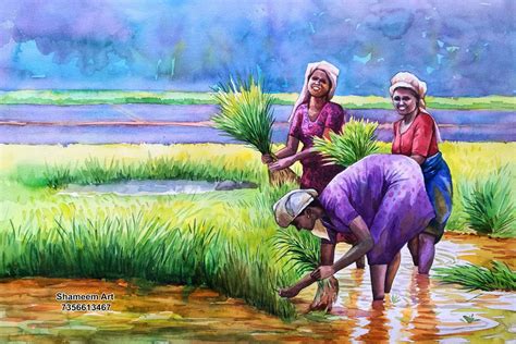 Kerala Farmer Drawing