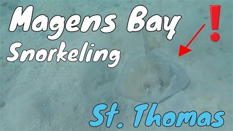 St Thomas Magens Bay Day Trip & Snorkeling - YouTube