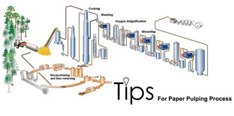 Tips For Paper Pulping Process | Pulp Cooking, Washing, And Screening