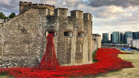 FREEDOM's ORATOR : Tower of London poppy installation