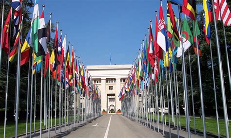 UN likely to back raising Palestinian flag - World - DAWN.COM