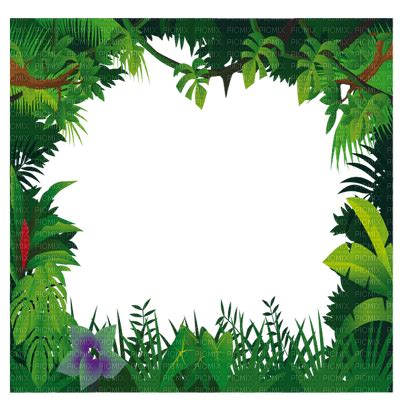 Jungle clipart frame, Jungle frame Transparent FREE for download on ...