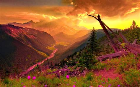 Mountain valley sunset | Beautiful nature, Scenery, Mount rainier ...