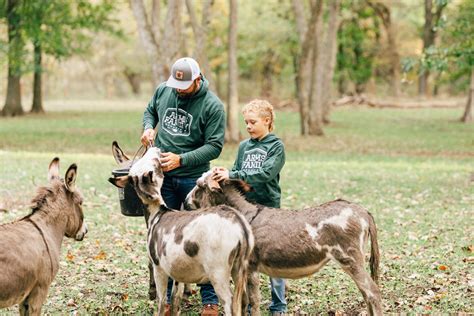 ARMS FAMILY HOMESTEAD HOODIE – Arms Family Homestead