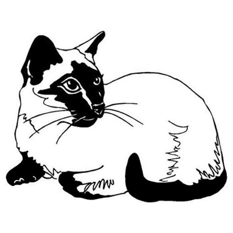 Siamese Cat Line Drawing at GetDrawings | Free download