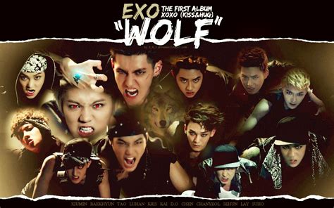 EXO - WOLF ( Live Performance 2014 ) ~ Music For You