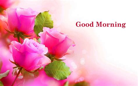 Good Morning Wallpapers Download - Wallpaper Cave