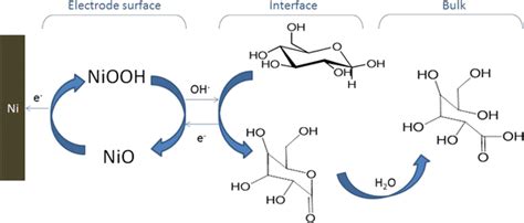 Glucose oxidation mechanism at the electrode surface | Download Scientific Diagram