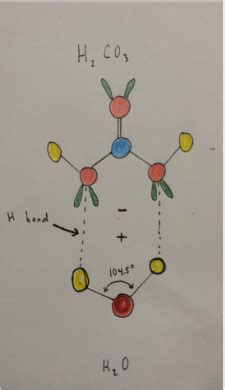 Bond Angles and Intermolecular Bonding Examples - Carbonic Acid