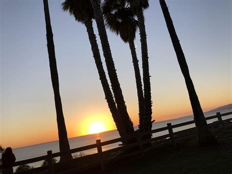 Amazing sunset view at Palisades Park : r/LosAngeles