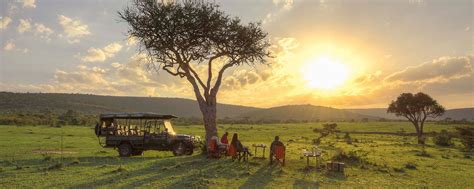 Best African Safari Tours, Packages & Tailored Itineraries | Go2Africa