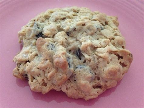 BEST sugar-free OATMEAL RAISIN COOKIES * soft & chewy - Cindy's ON-Line recipe box