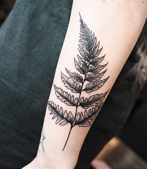 30+ Fern Tattoo Design Ideas - The XO Factor