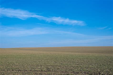 Premium Photo | Ploughed field and blue sky as a background