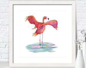 Image result for anatomy flamingo | Flamingo, Anatomy, Image