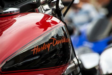 Wallpaper ID: 244440 / harley davidson iron 883 4k wallpaper free download