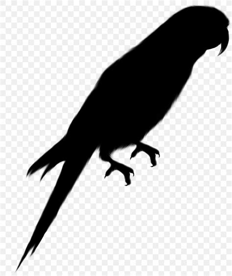 Parrot Silhouette Macaw Vector Graphics, PNG, 1121x1336px, Parrot, Beak, Bird, Cartoon, Claw ...