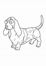 Basset Hound Coloring Pages  ColoringDraftcom sketch template