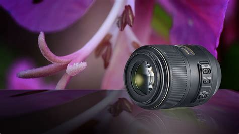 The best macro lenses in 2020 | Digital Camera World