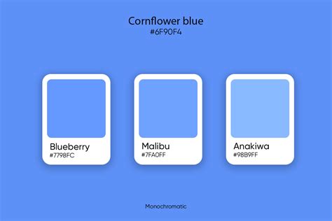 What is Cornflower Blue? Codes, Complimentary Colors, and Meaning - Picsart Blog