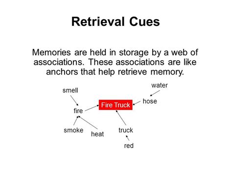 Retrieval Cues Definition Examples Video Lesson