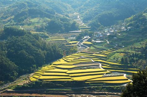 Hamyang Terraced Fields - Gyeongsangnam-do | This Is Korea Tours