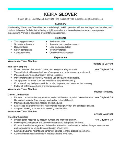 Best Team Members Resume Example From Professional Resume Writing Service