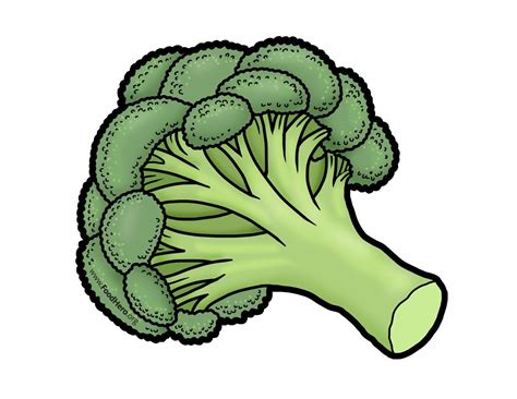 Broccoli illustration #illustration | Cute food drawings, Broccoli drawing, Vegetable cartoon