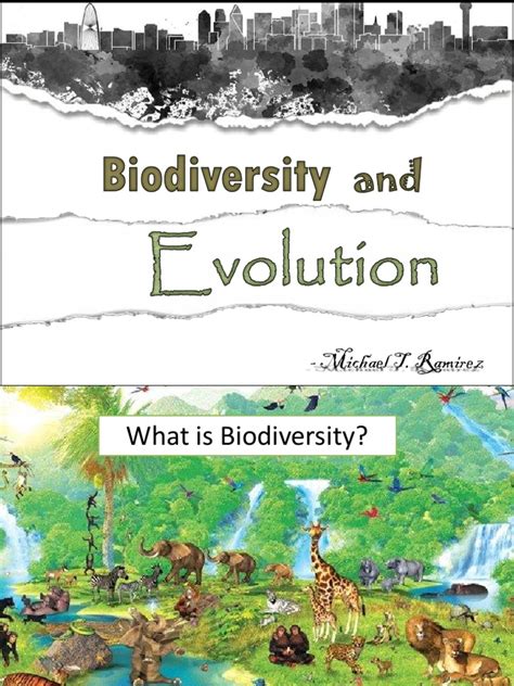 Module 3 - Biodiversity and Evolution | PDF | Fossil | Natural Selection