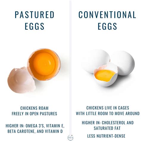 Think pastured eggs aren’t worth the extra cost? Check out the stats ...