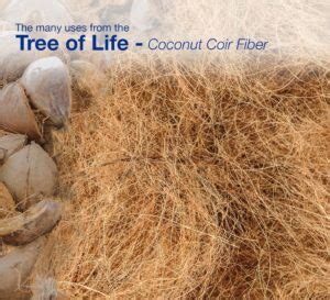 The many uses from the Tree of Life – Coconut Coir Fiber - KARA