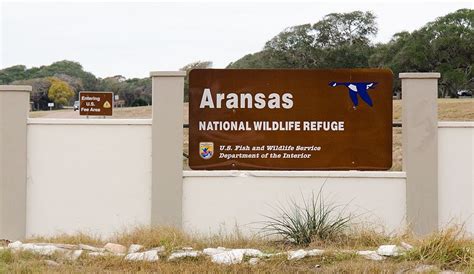 The Aransas National Wildlife Refuge | Texas Happens