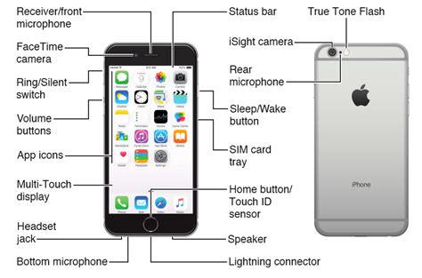 iPhone 7 Manuals: Apple iPhone 8 Guide